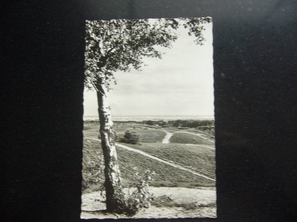 DE STEEG, Ophalen of Verzenden, 1960 tot 1980, Gelopen, Gelderland