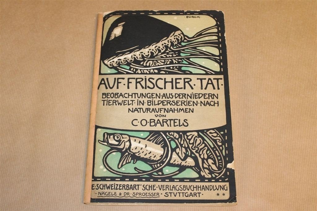 Dierenwereld 1911 — Fotoreeksen Natuurstudie [DE], Boeken, Ophalen of Verzenden, Gelezen