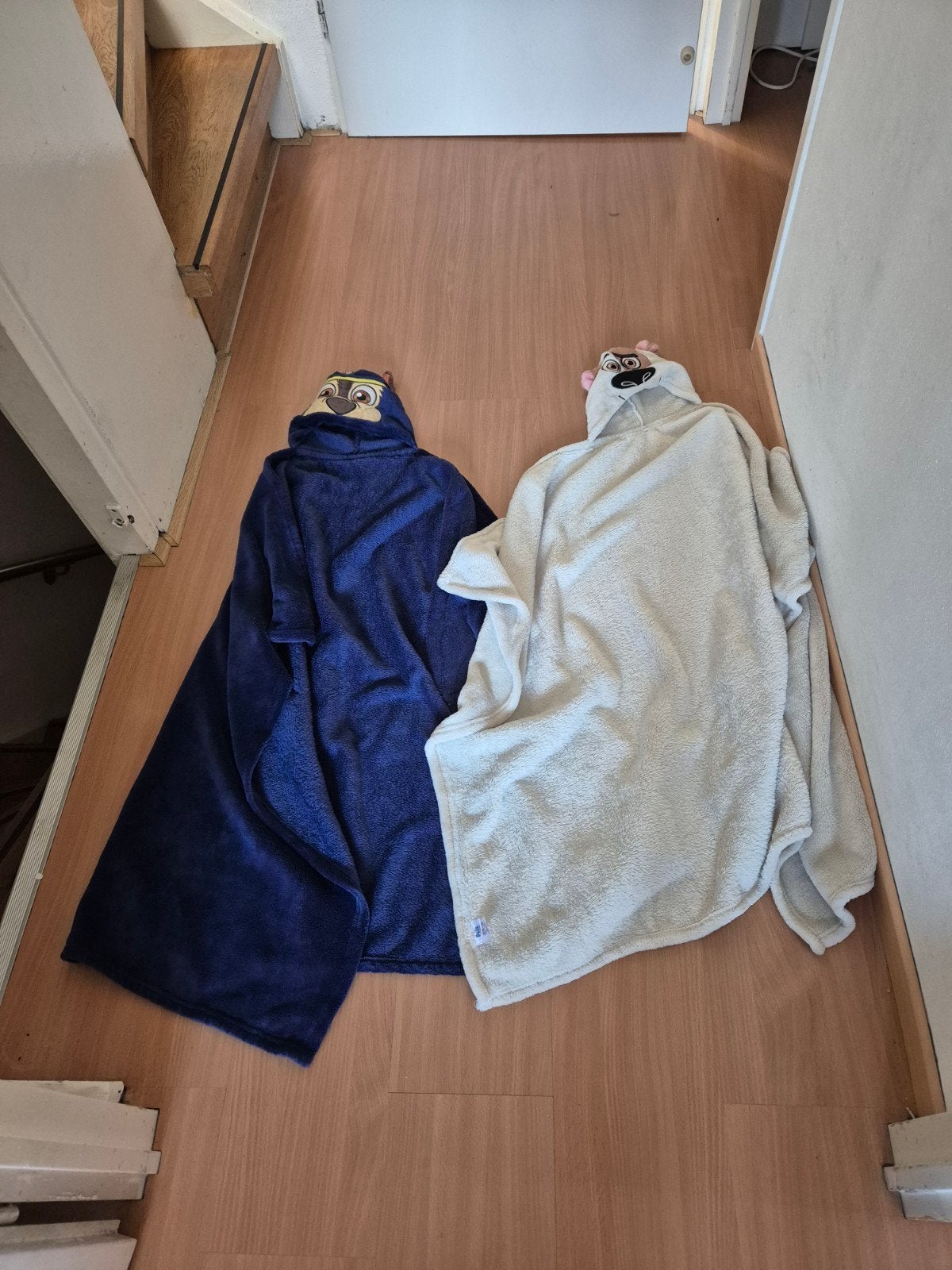 Paw Patrol & Huisdiergeheimen Capuchon Dekens (Set van 2), Ophalen of Verzenden