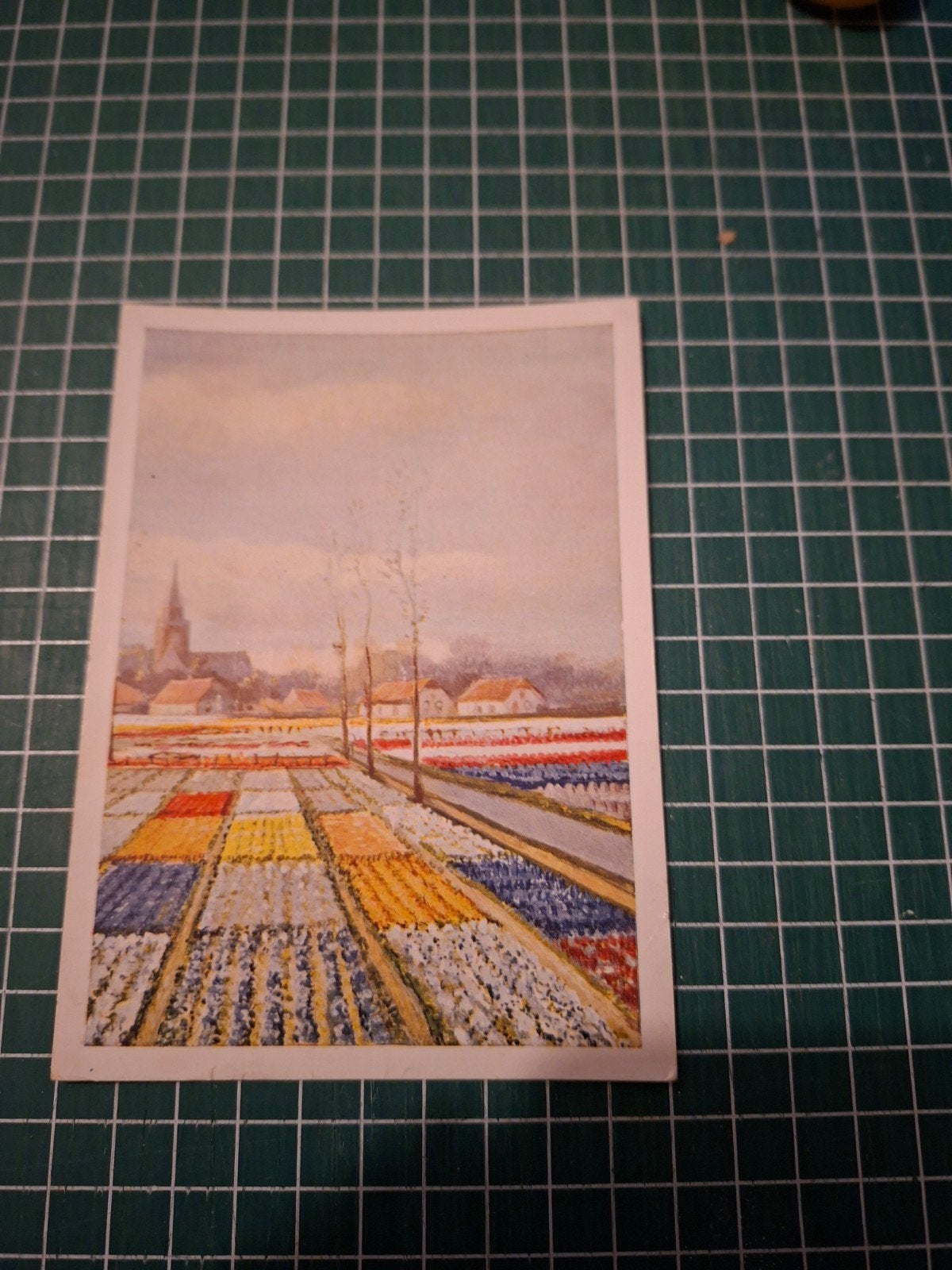 vintage ansichtkaart Hollandse Bloembollenvelden., Ophalen of Verzenden, 1960 tot 1980, Gelopen, Overige thema's
