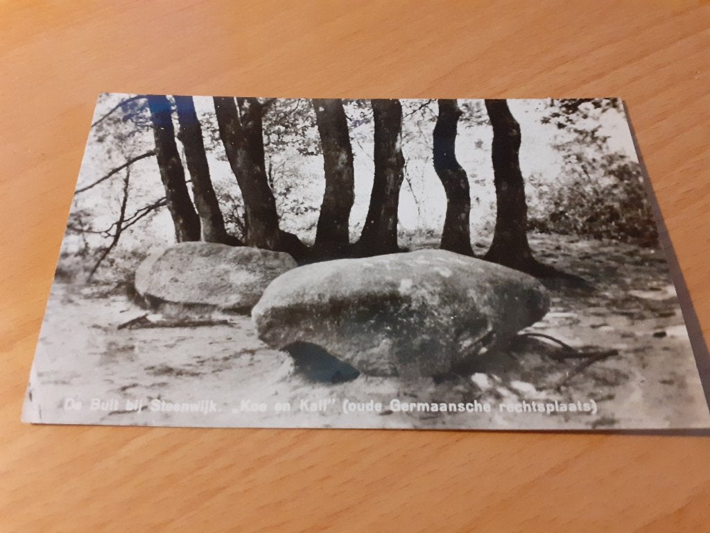 Steenwijk de Bult De Eese  koe en kalf, Ophalen of Verzenden, 1960 tot 1980, Gelopen, Overijssel