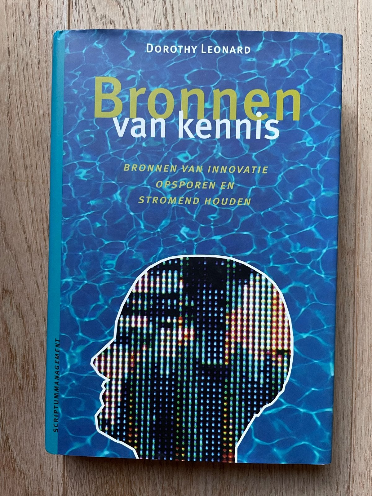 Dorothy Leonard - Bronnen van Kennis ISBN 9789055941414, Ophalen of Verzenden, Zo goed als nieuw, Management