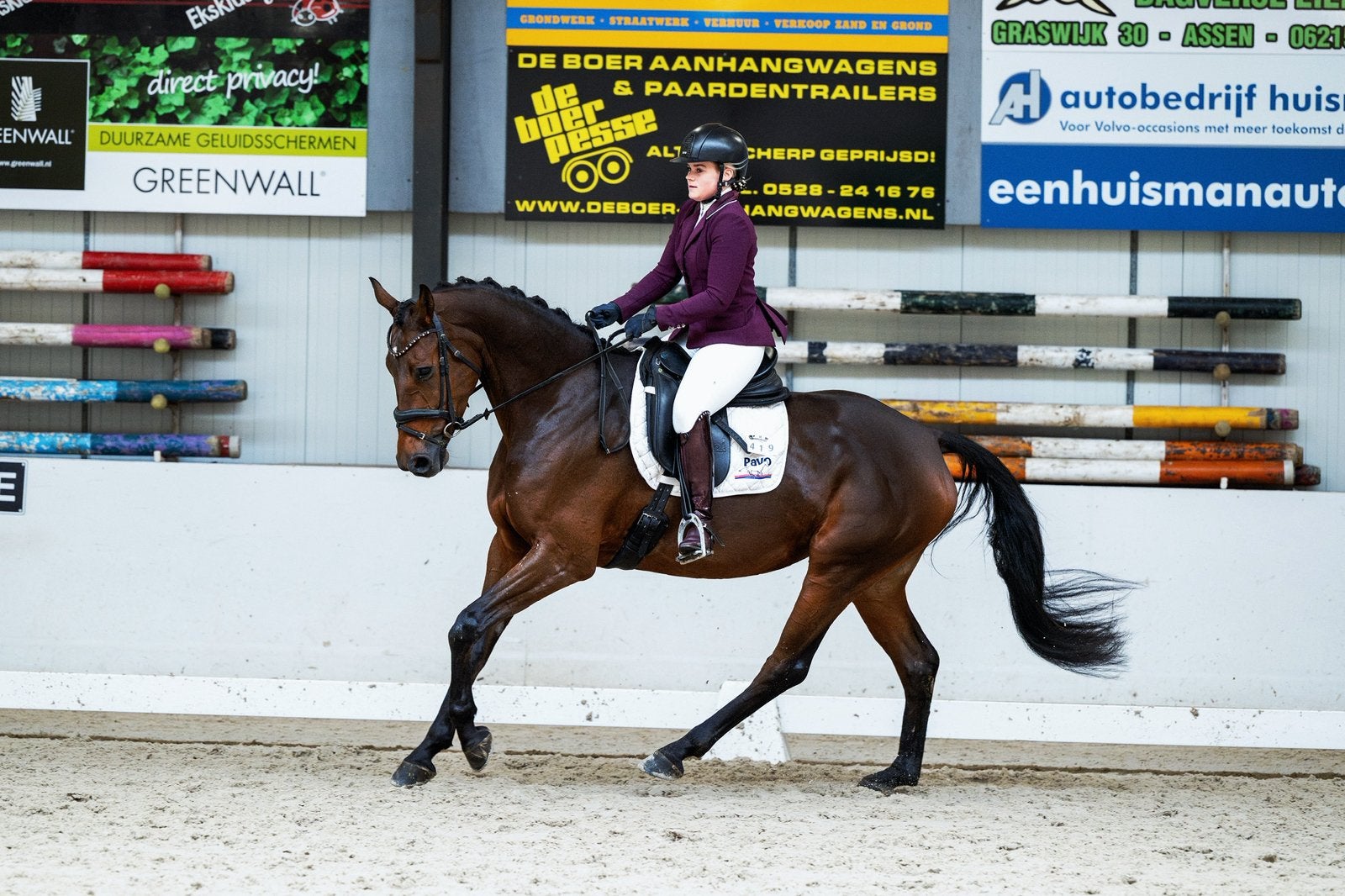 Veelbelovende dressuurmerrie | First Date x Florencio |, Dieren en Toebehoren, Merrie, Met stamboom, M, Dressuurpaard