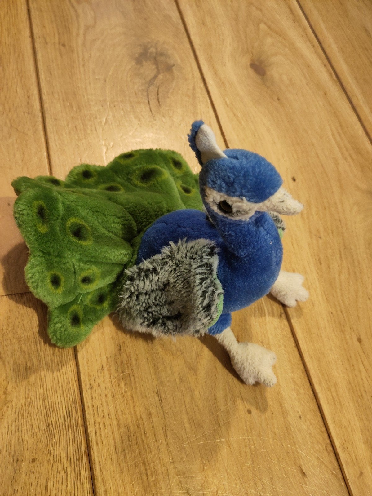 Leuke Pauw Knuffel - Blauw/Groen, Ophalen, Overige typen, Blauw, Zo goed als nieuw