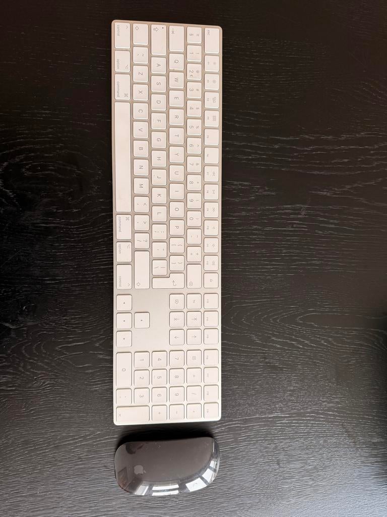 Apple Magic Toetsenbord 2 A1843 & Magic Muis 2 A1657 QWERTY, Toetsenbord en muis-set, Ophalen of Verzenden, Zo goed als nieuw