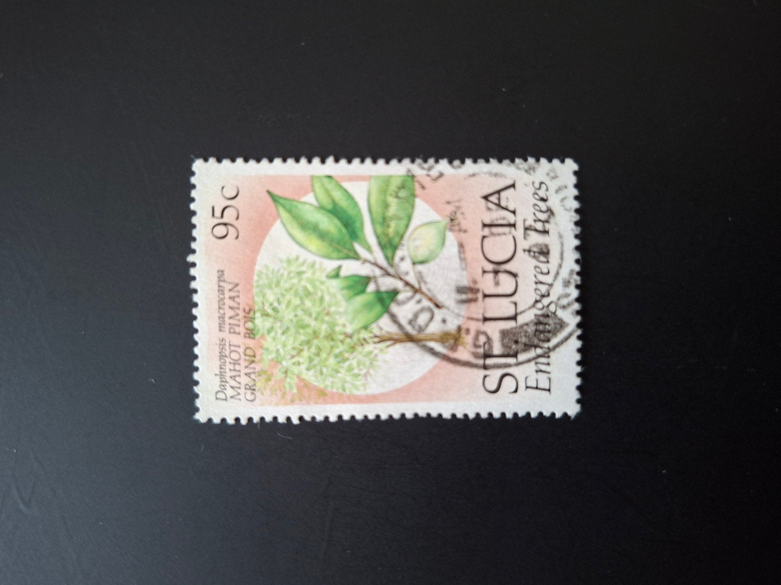 St. Lucia.  Bedreigde bomen., Postzegels en Munten, Ophalen of Verzenden, Dier of Natuur