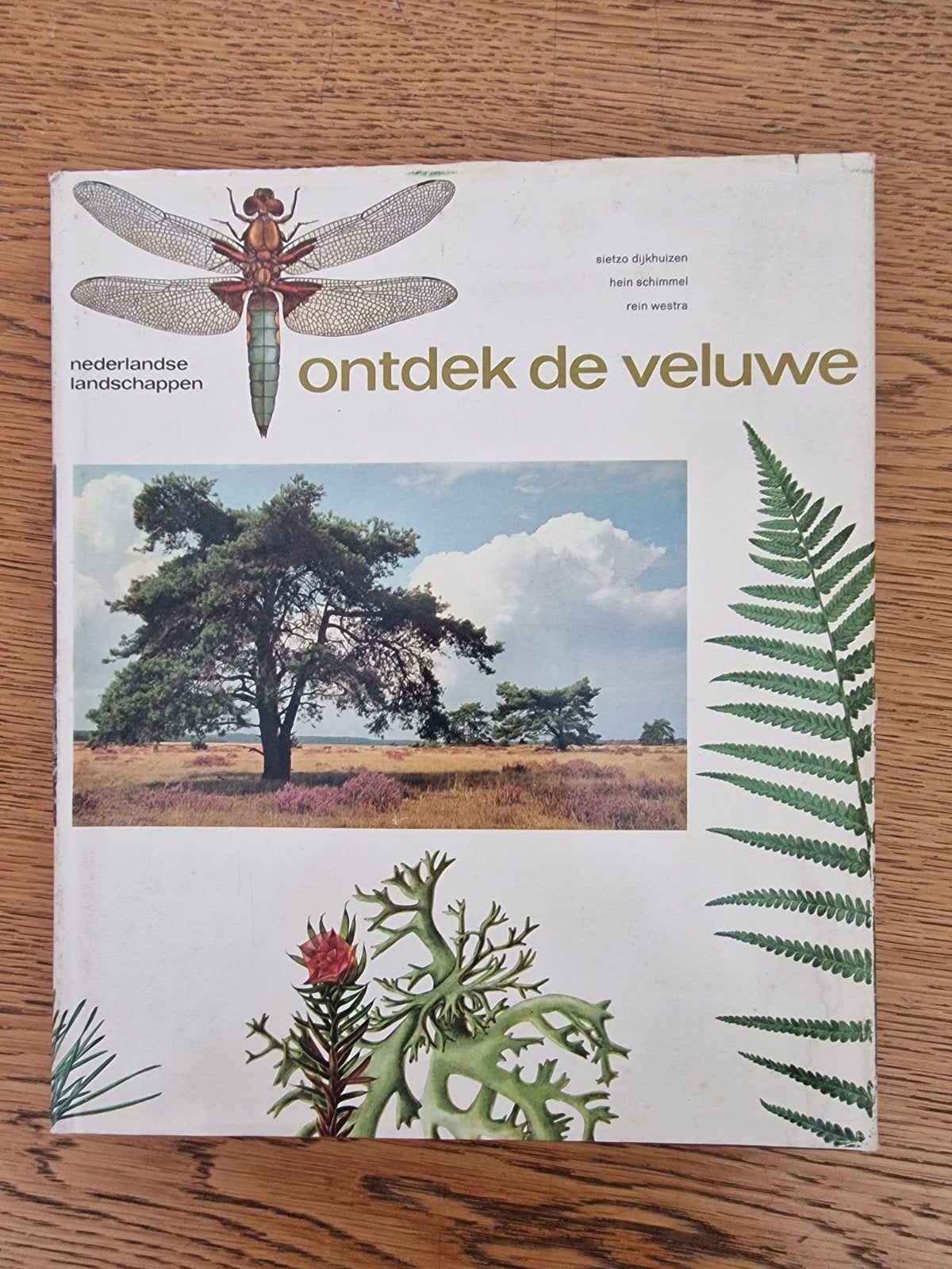 Ontdek de Veluwe - Nederlandse Landschappen, Ophalen of Verzenden