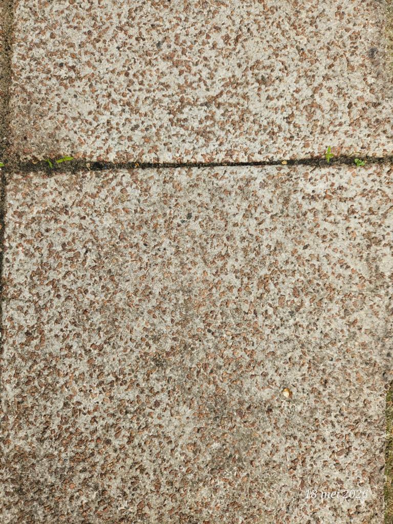 Gratis tegels, Tuin en Terras, Ophalen, Gebruikt, Beton, Terrastegels