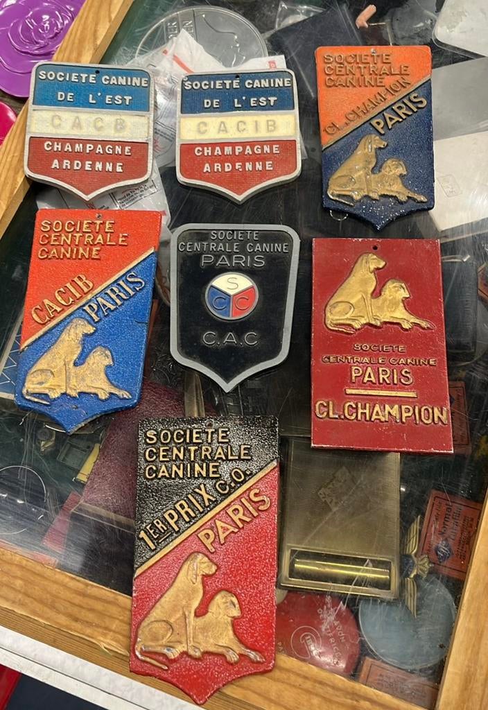 VINTAGE PLAQUETTE HONDENPRIJS, Antiek en Kunst, Curiosa en Brocante, Ophalen of Verzenden