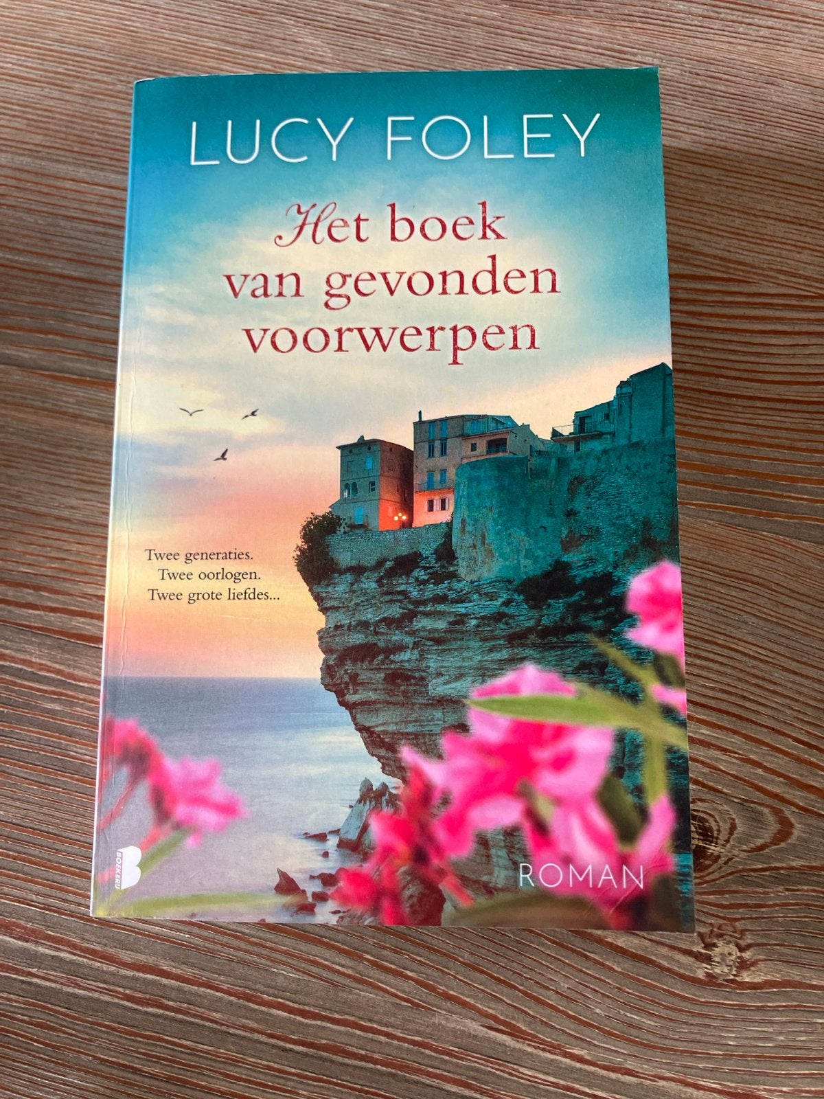 Het boek van gevonden voorwerpen - Lucy Foley Roman, Ophalen of Verzenden, Gelezen, Nederland