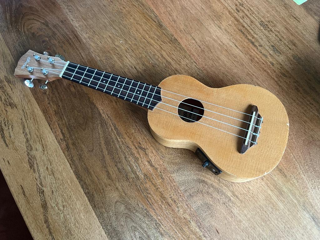 Stagg ukulele, Ophalen of Verzenden, Gebruikt