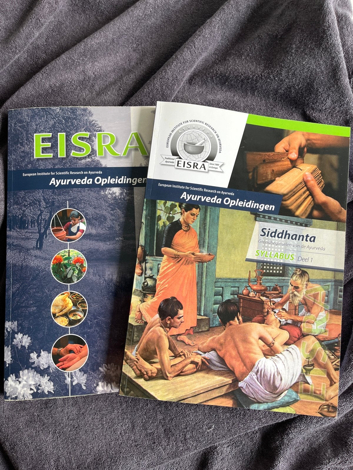 EISRA Ayurveda Opleidingen Syllabus Deel 1, Ophalen of Verzenden, Gamma, Gelezen, Overige niveaus