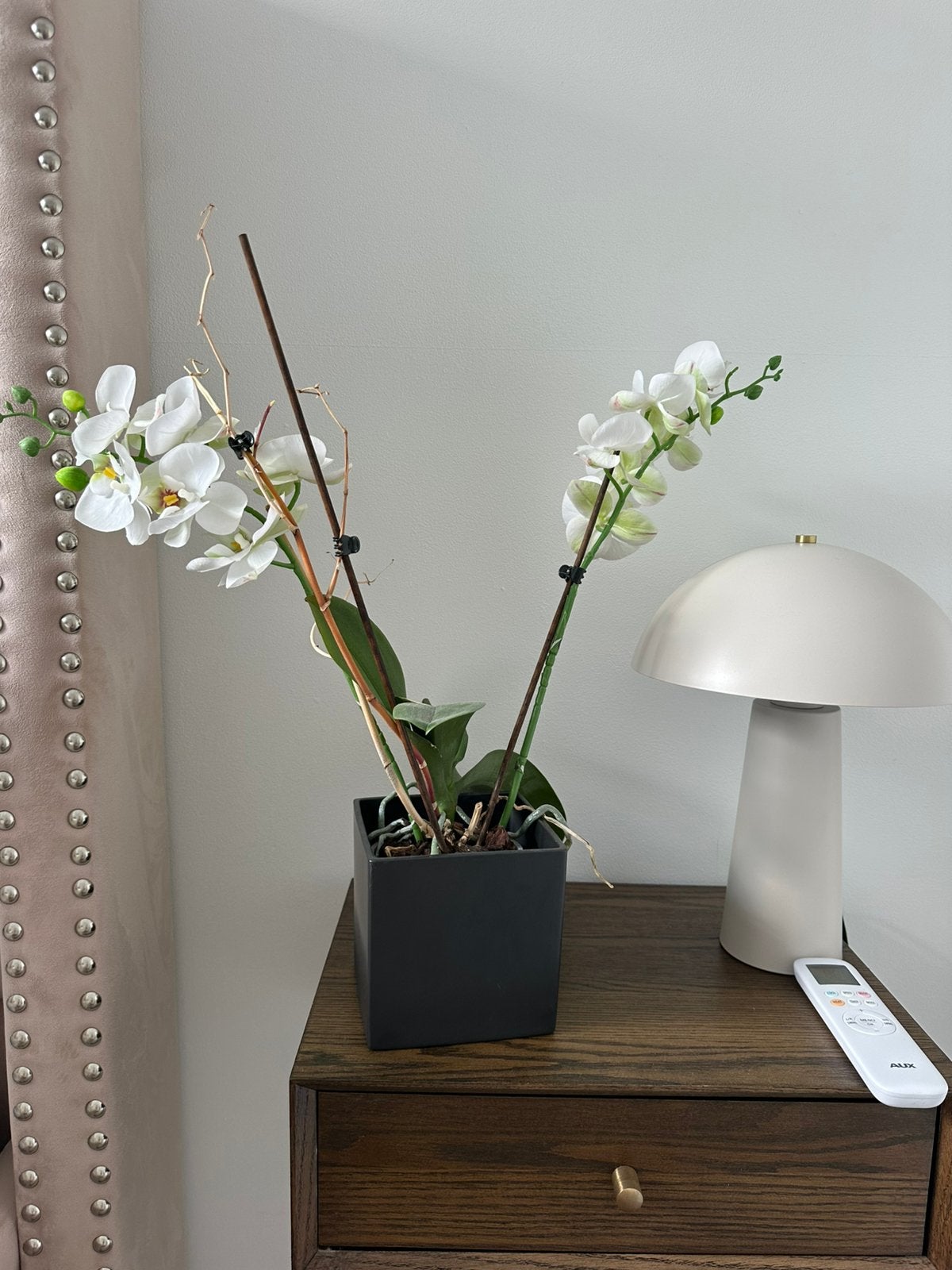 Prachtige witte orchidee in bloempot 14 cm breed, Vierkant, Ophalen of Verzenden, Zo goed als nieuw, Balkon