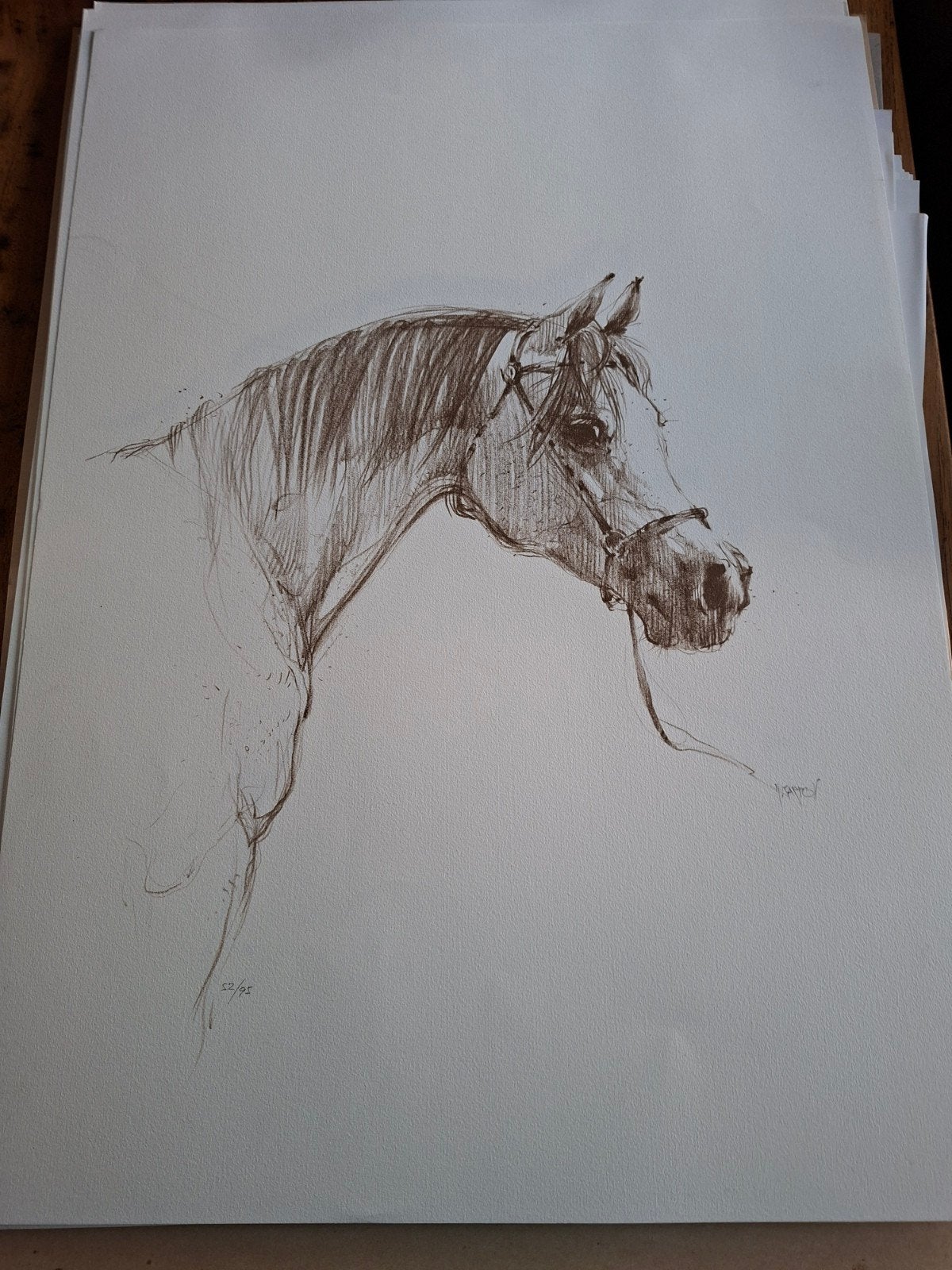 Prachtige paardentekening van Nenad V karpov Gesigneerd, Antiek en Kunst, Ophalen of Verzenden, Tekening, Potloodtekening, Genummerd