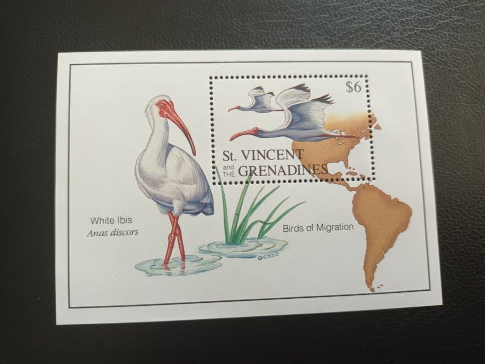 St Vincent and the Grenadines block white ibis MNH, Verzenden, Postfris