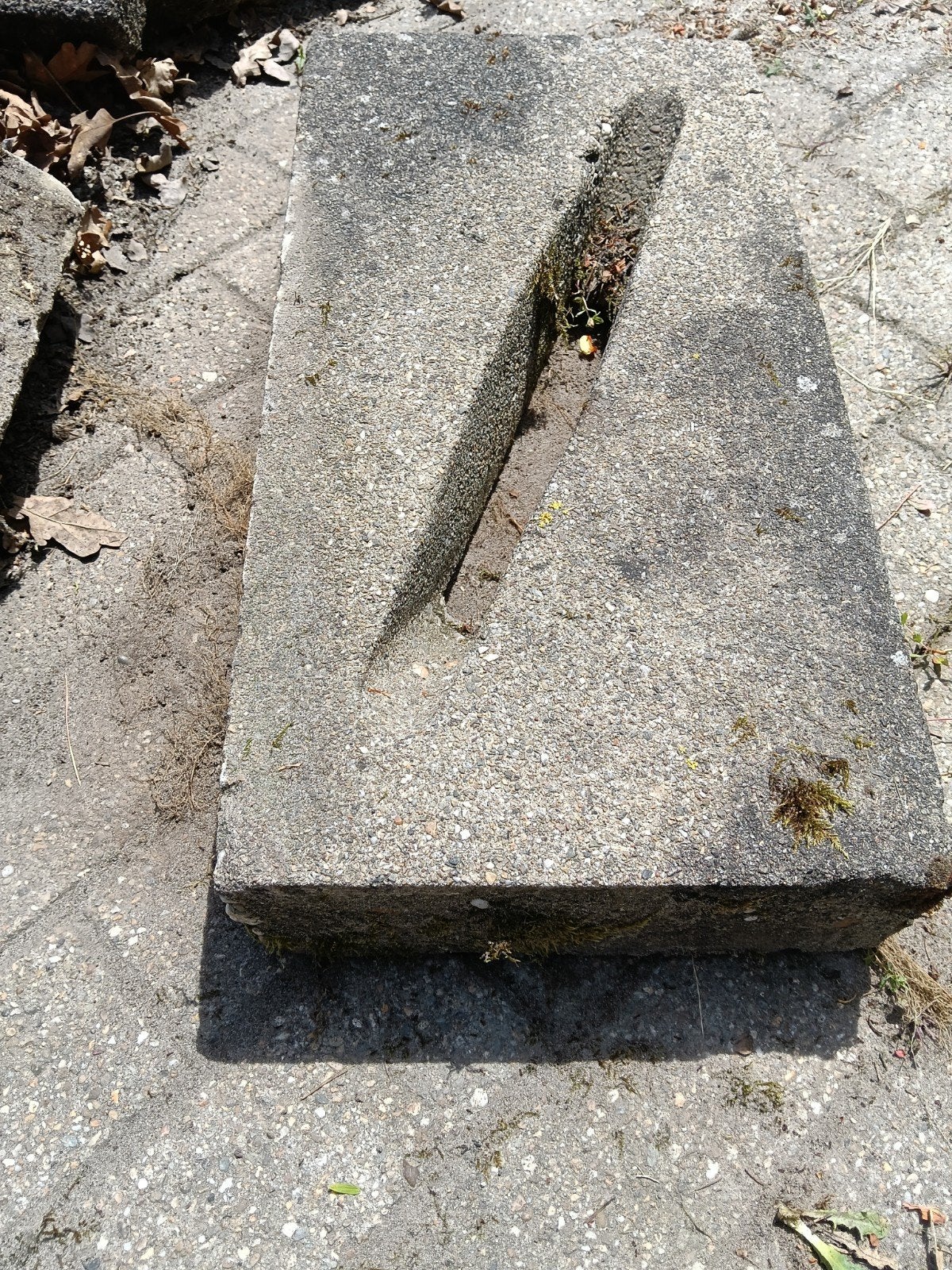 fiets blok beton 60x30x12, Ophalen, Beton, Overige typen