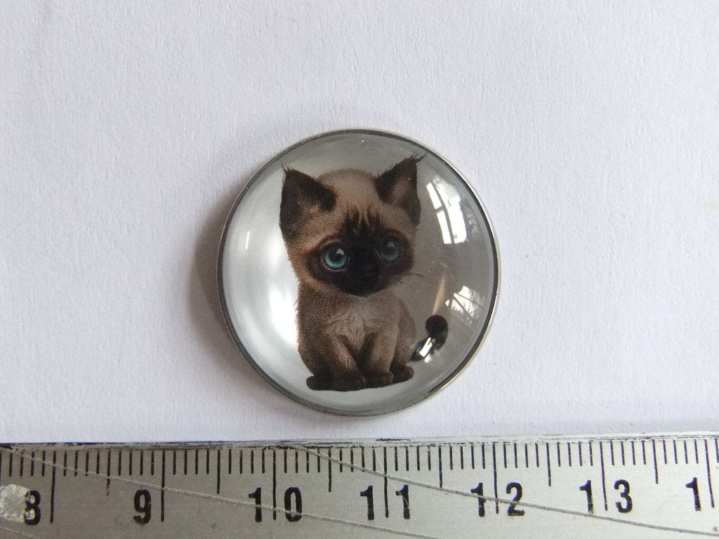 Pin/Speldje met schattige ras kitten, Verzamelen, Speldjes, Pins en Buttons, Ophalen of Verzenden, Nieuw, Dier of Natuur, Speldje of Pin