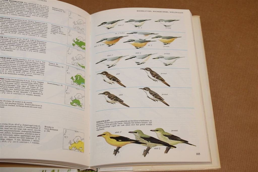 Vogels van Europa — Perrins & Attenborough Natuurgids 320p, Ophalen of Verzenden, Gelezen, Vogels