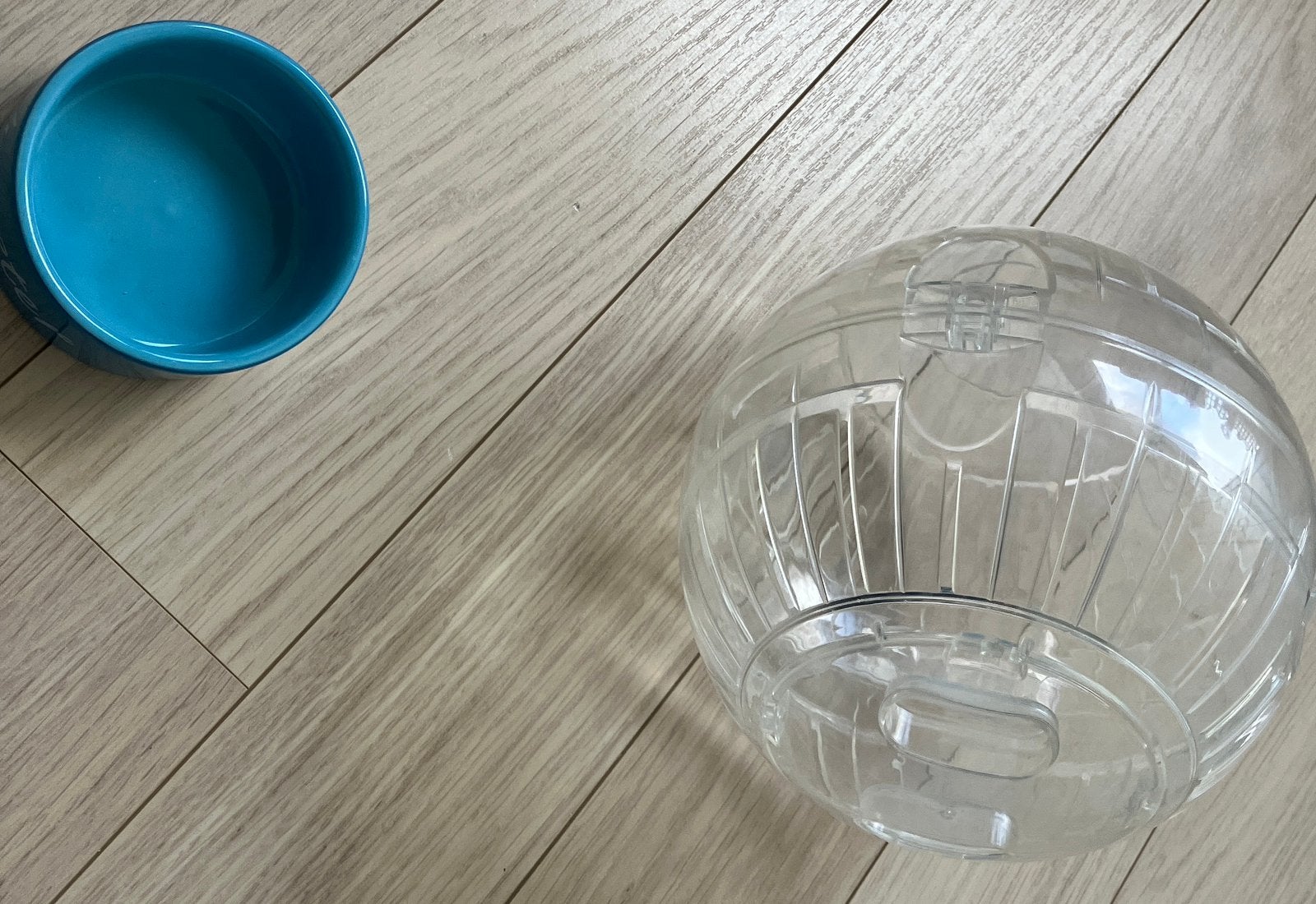 Hamster of ander knaagdier kooi, Kooi, Minder dan 75 cm, Zo goed als nieuw, Ophalen