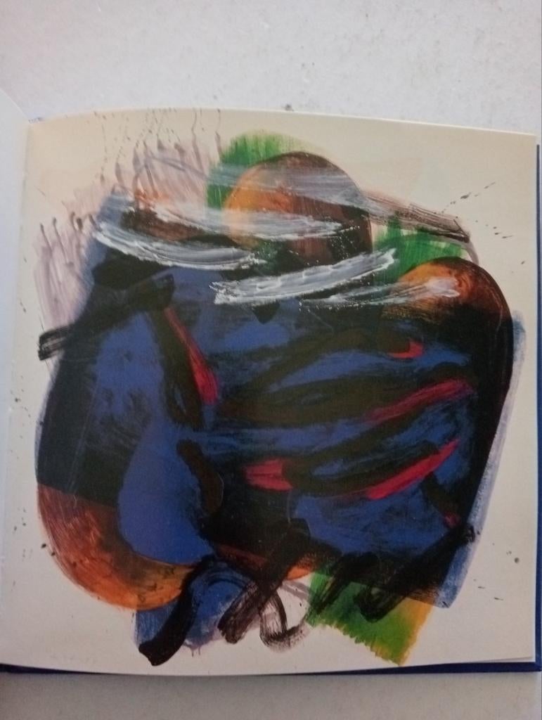 RAI 1989 Galerie Willy Schools - Kunstboek, Ophalen of Verzenden, Gelezen, Overige onderwerpen, Nico Molenkamp, Lei Molin, Ad Snijders