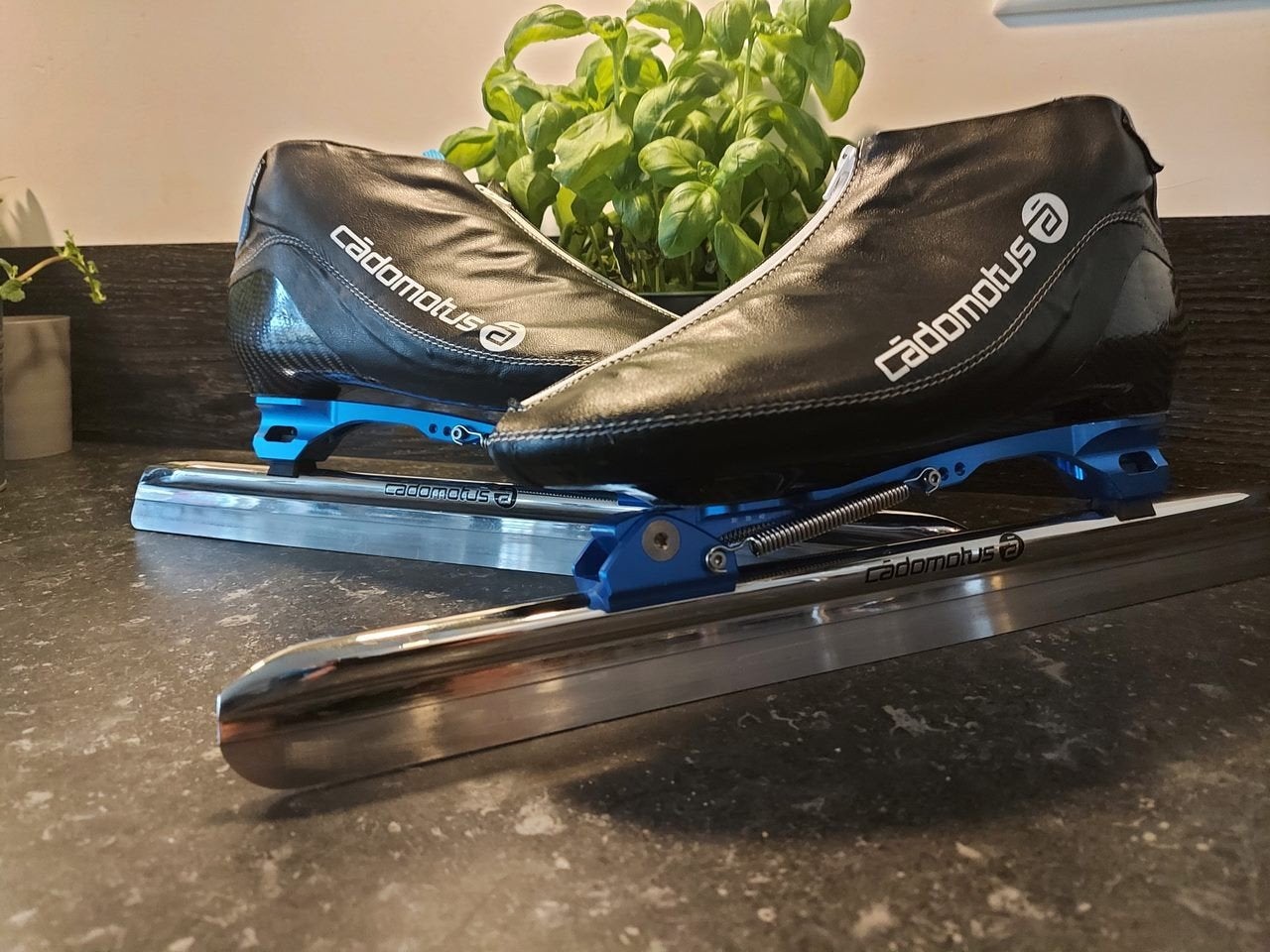 Cadomotus Balance maat 43, Sport en Fitness, Schaatsen, Ophalen of Verzenden, Noren, Maple, Klapschaats