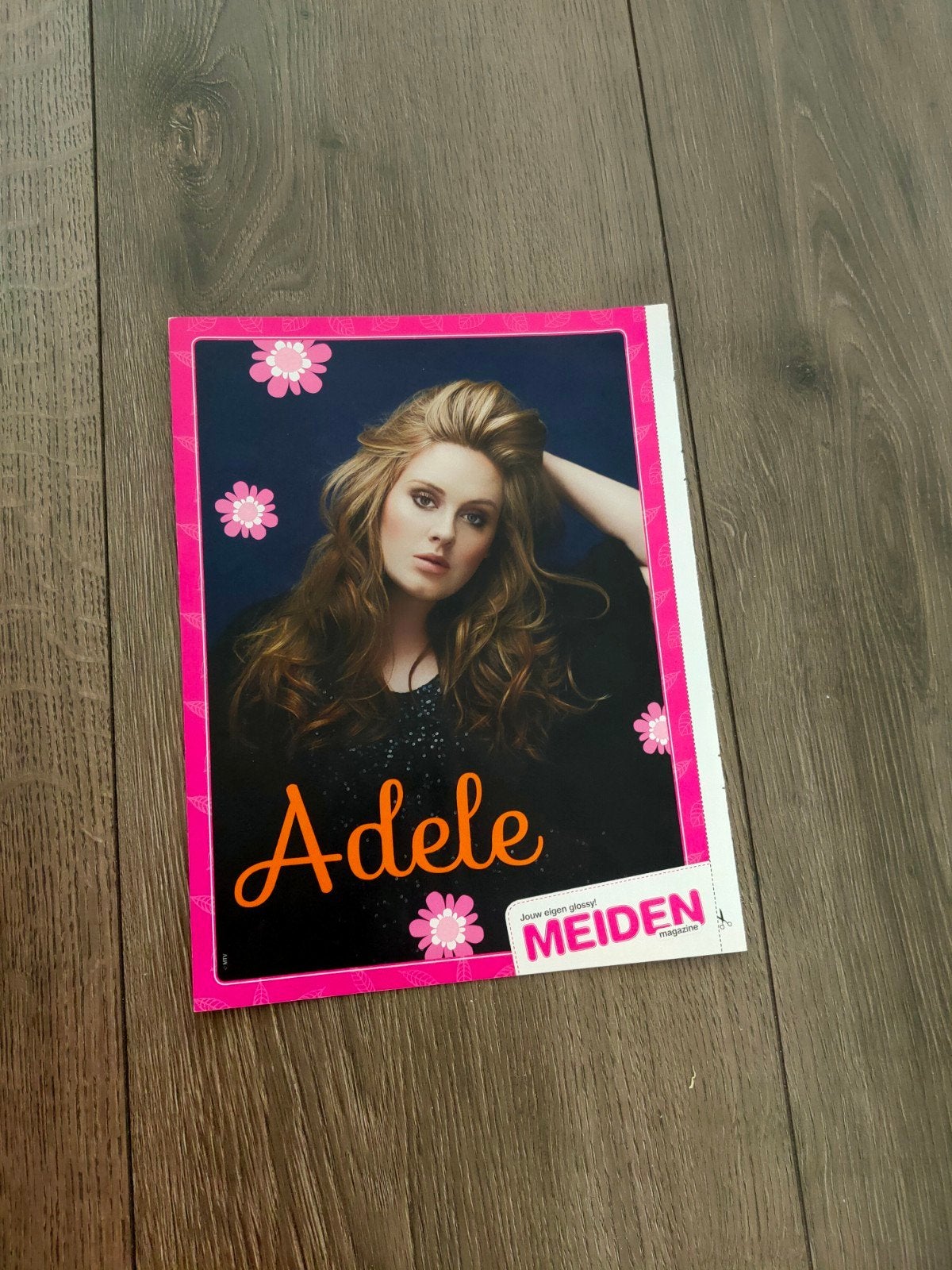 Meiden - Adele Poster, Verzamelen, Ophalen of Verzenden, Nieuw, A1 t/m A3