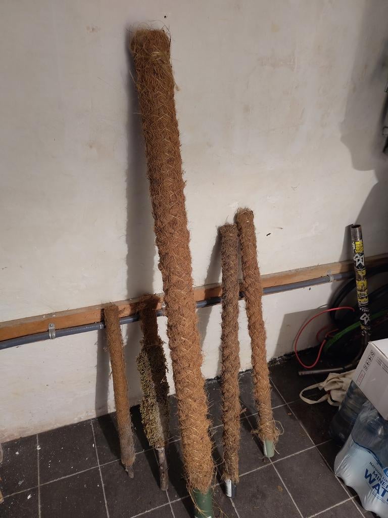 Kokosrankpalen voor klimplanten - Diverse maten, Ophalen