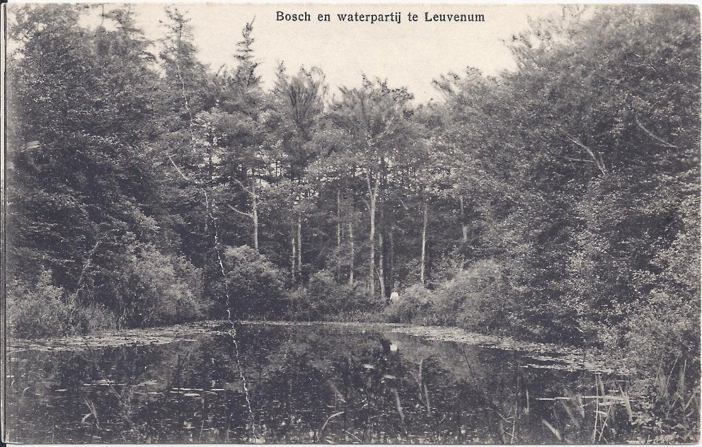 Leuvenum Waterpartij Oude Ongelopen Ansichtkaart ( B786 ), Ophalen of Verzenden, 1940 tot 1960, Ongelopen