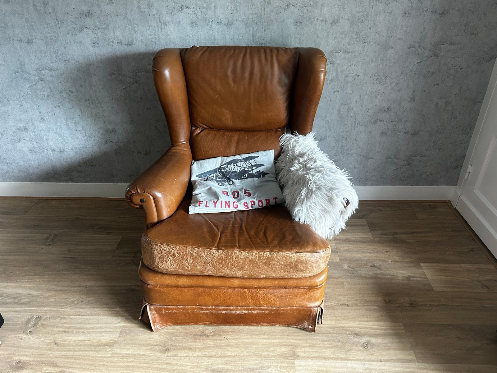 Vintage Leren Fauteuil - Comfortabele Oorfauteuil, Ophalen, Gebruikt, Leer