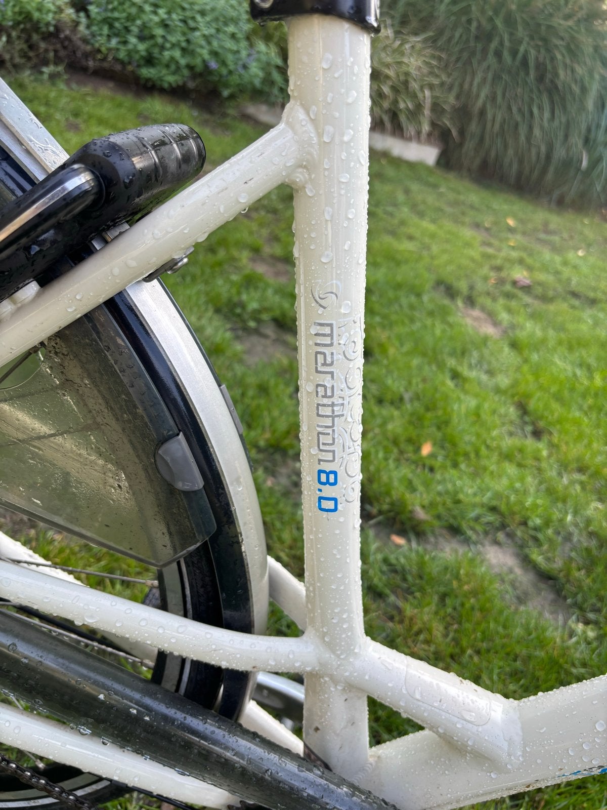 Damesfiets Marathon 8.0 met mandje, Overige merken, Versnellingen, Ophalen of Verzenden, Trommelrem