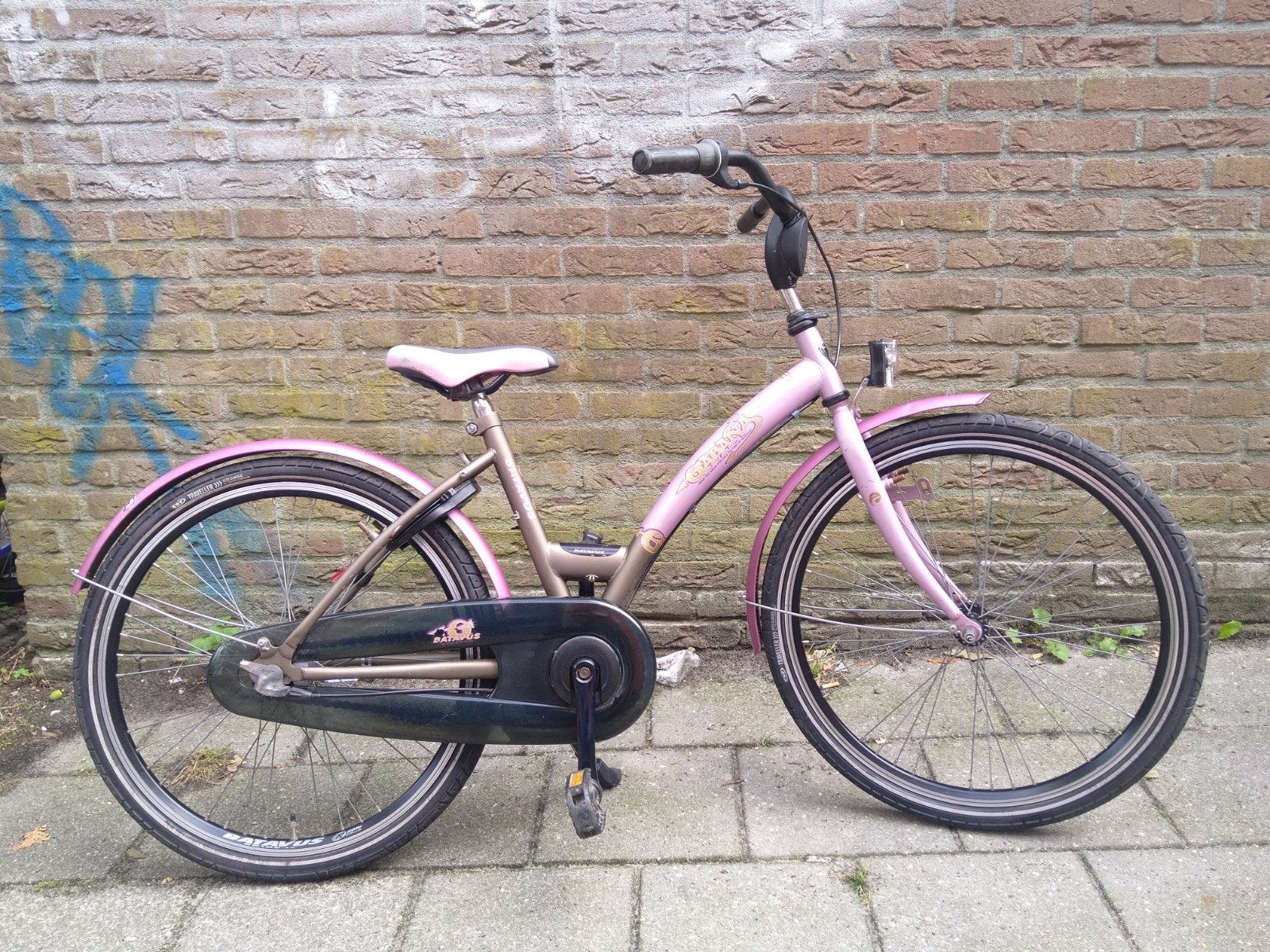 Nette Batavus Meisjes fiets 24 inch Terug traprem Rijklaar!, Ophalen of Verzenden, Gebruikt