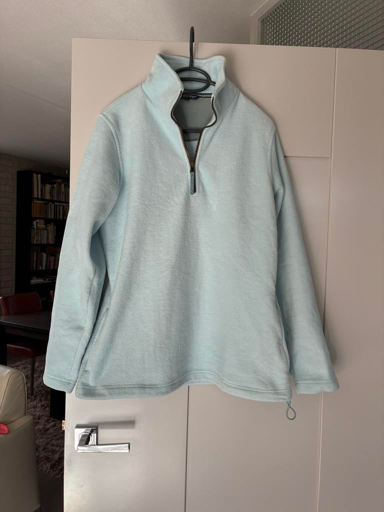 Falcon sweater, Blauw, Ophalen of Verzenden, Zo goed als nieuw, Maat 42/44 (L)