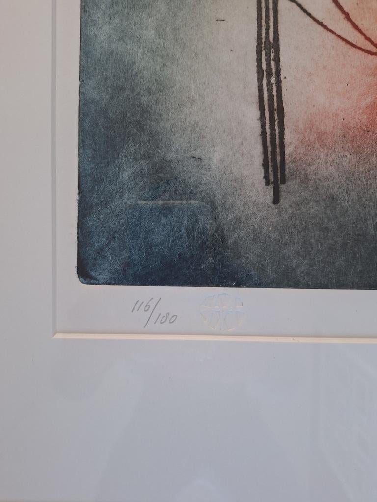 Prachtige ingelijste kleuren ets van kunstenaar Ad Arma., Ophalen of Verzenden, Ets, Ingelijst