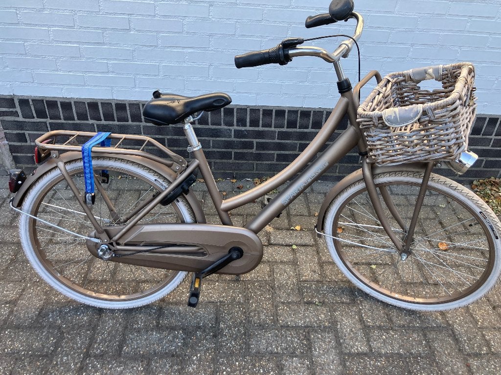 Meisjes fiets, Ophalen, Terugtraprem, Sparta, Versnellingen