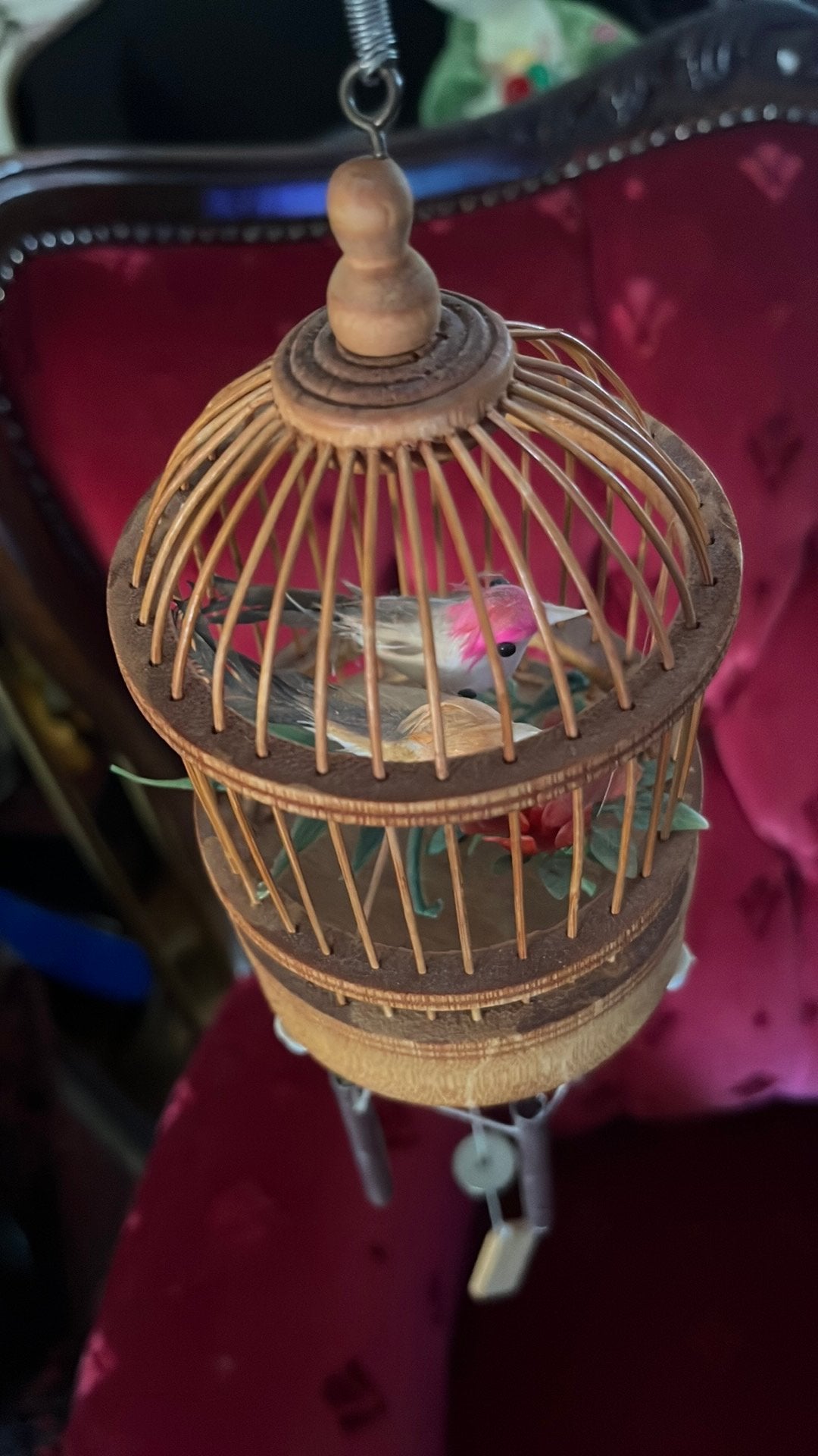 Vogel kooitje met muziek, Ophalen of Verzenden