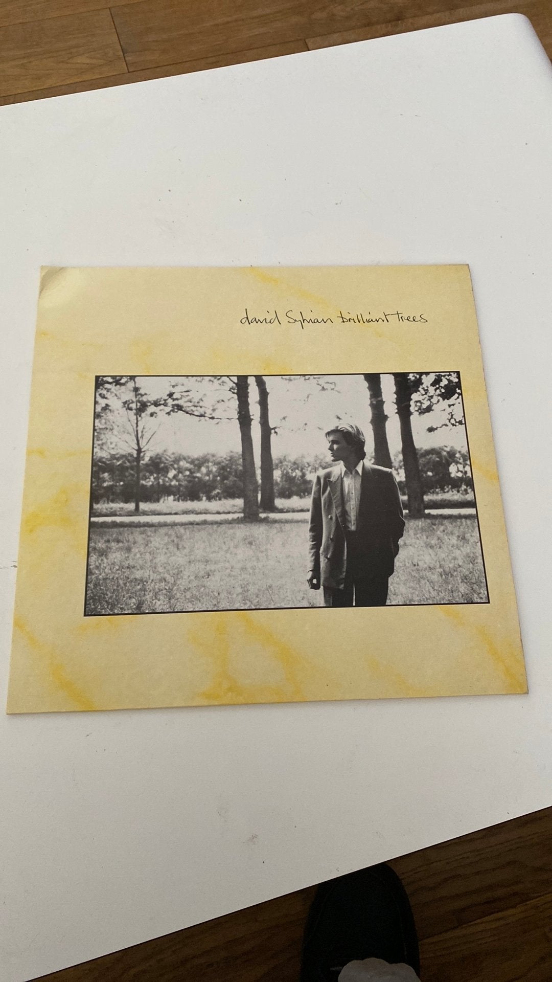 Lp david Sylvian, brilliant trees, Ophalen of Verzenden, Zo goed als nieuw, Overige formaten