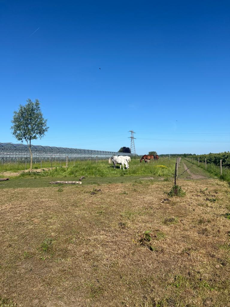 Bijbaantje aangeboden/stalhulp gevraagd