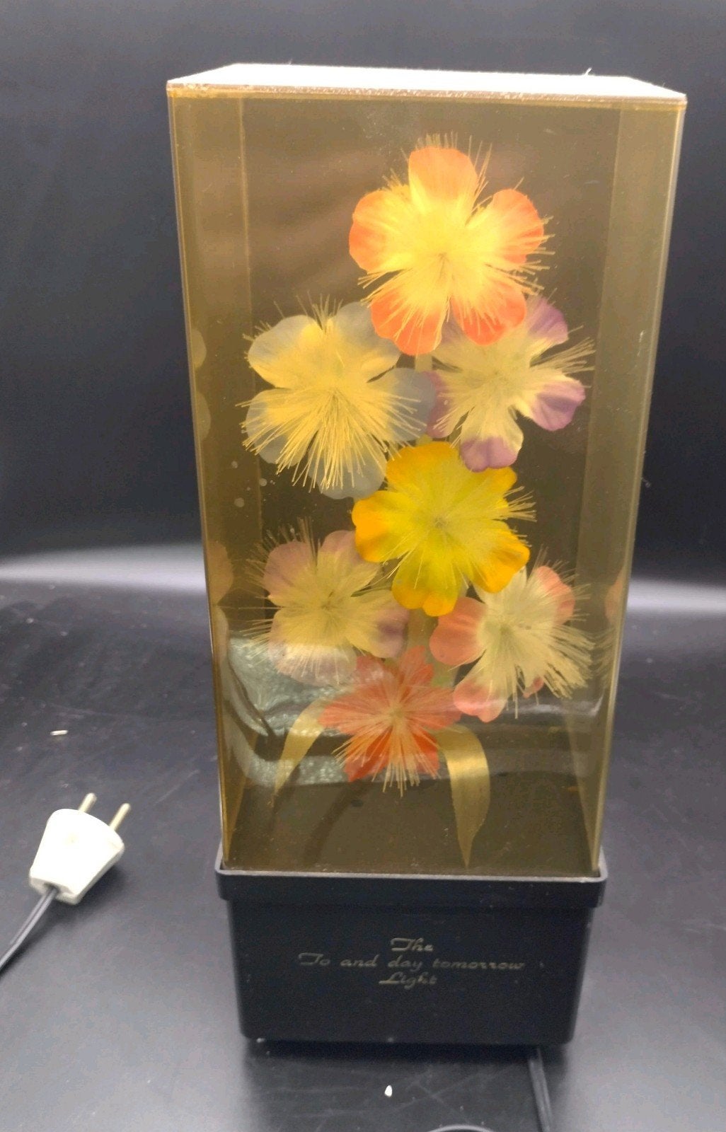 Vintage Fiber Optic Bloemenlamp met Muziekdoos (Edelweiss), Verzamelen, Ophalen of Verzenden, Huis en Inrichting