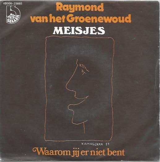 raymond van het groenewoud - meisjes, Ophalen of Verzenden, Zo goed als nieuw, 12 inch, Levenslied of Smartlap