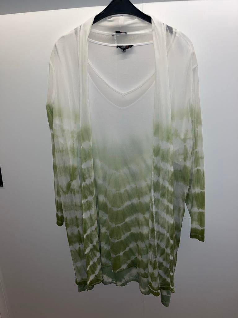 Tweedelige  feest jurk 48/50, Kleding | Dames, Ophalen of Verzenden, Gedragen, Maat 46/48 (XL) of groter, Groen