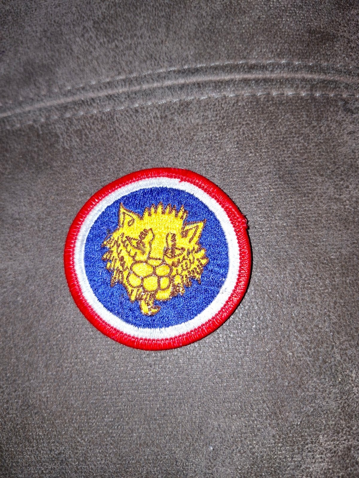 Vintage Scouting Leeuwenkop Patch - Zeldzaam, Verzamelen, Ophalen of Verzenden, Gebruikt, Overige typen