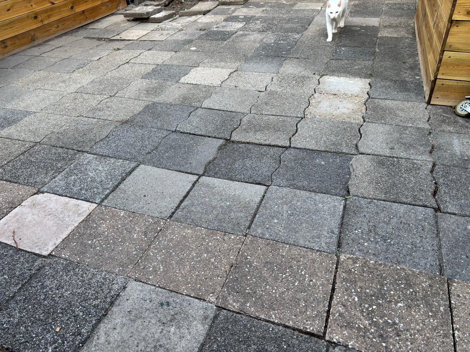 Gratis Gebruikte tuintegels voor terras of pad, Tuin en Terras, Ophalen, Gebruikt, 10 m² of meer, Beton
