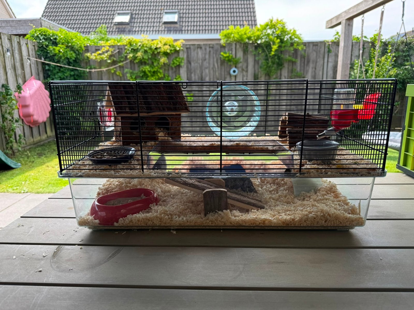 Hamsterkooi + toebehoren, Kooi, Gebruikt, Minder dan 75 cm, Hamster