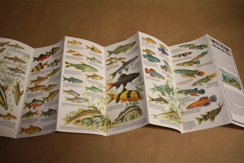 Uitvouwbare informatiefolder Domino Aquariumvissen., Ophalen of Verzenden, Zo goed als nieuw, Vogels