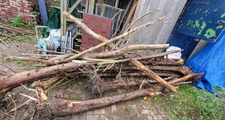 Haardhout: Stammen en takken, 6 m³ of meer, Ophalen, Overige houtsoorten, Stammen
