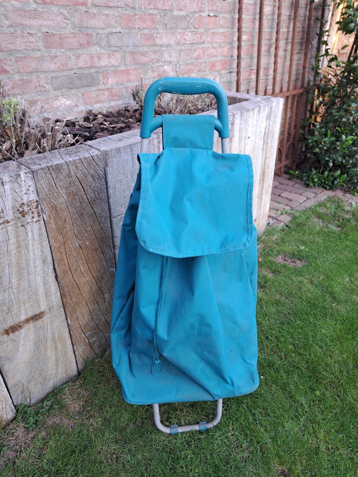 Handige blauwe boodschappentrolley / boodschappenwagen, Ophalen