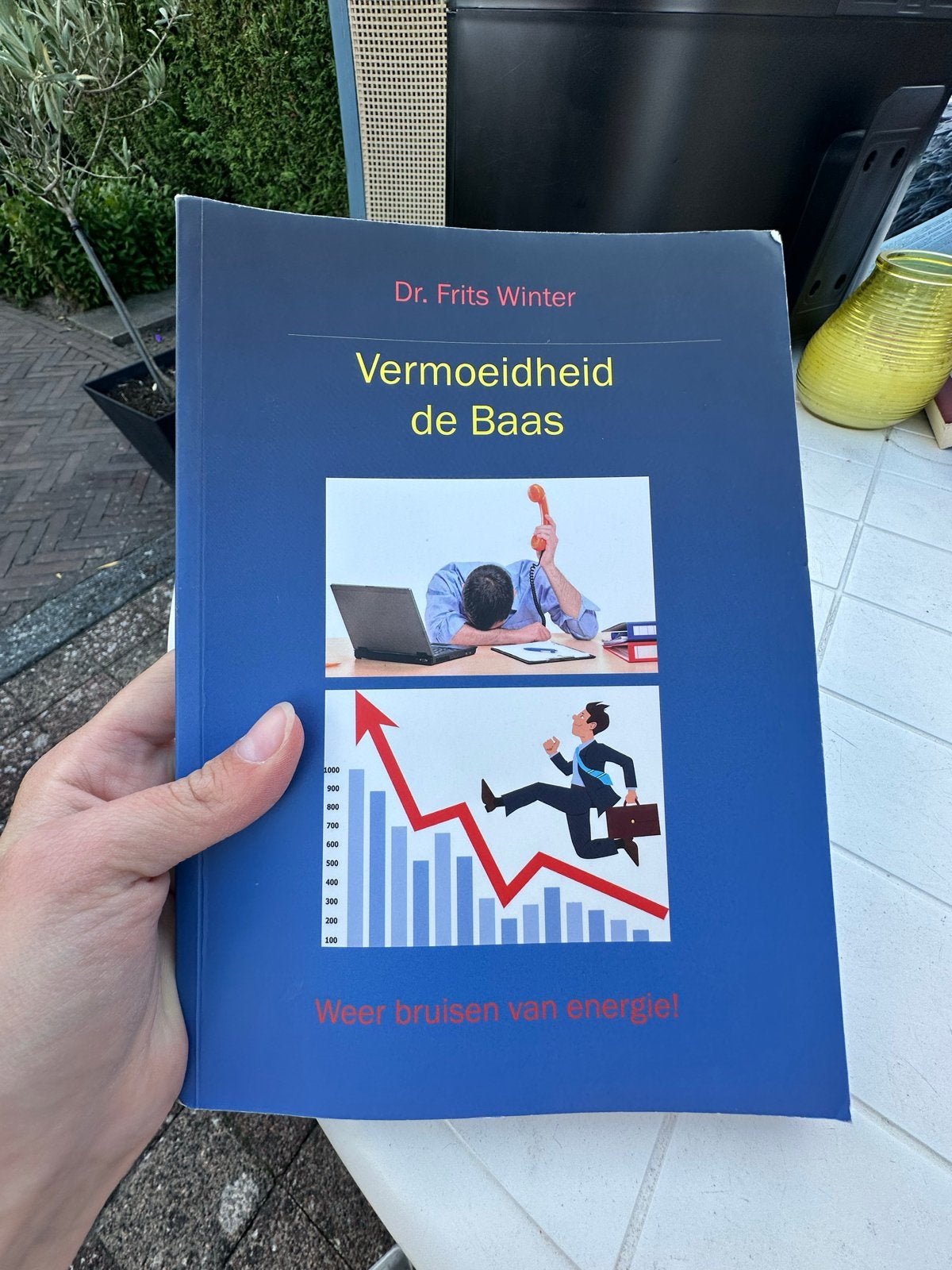 Vermoeidheid de Baas - Dr. Frits Winter, Ophalen of Verzenden, Zo goed als nieuw