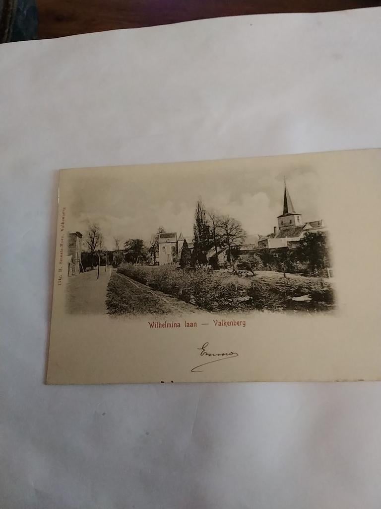 VALKENBERG. WILHELMINALAAN, Ophalen of Verzenden, Voor 1920, Zuid-Holland