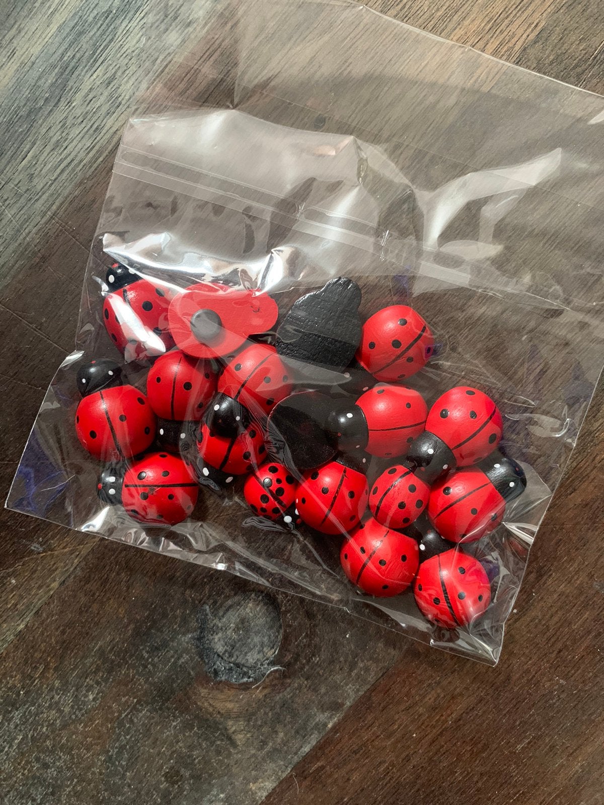 Houten lieveheersbeestjes, Ophalen of Verzenden, Nieuw