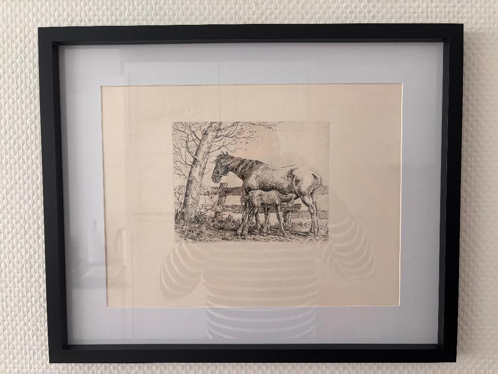 Ets Merrie met haar veulen, Nico Bulder, in lijst., Antiek en Kunst, Kunst | Etsen en Gravures, 53 cm, 43 cm, Ophalen of Verzenden